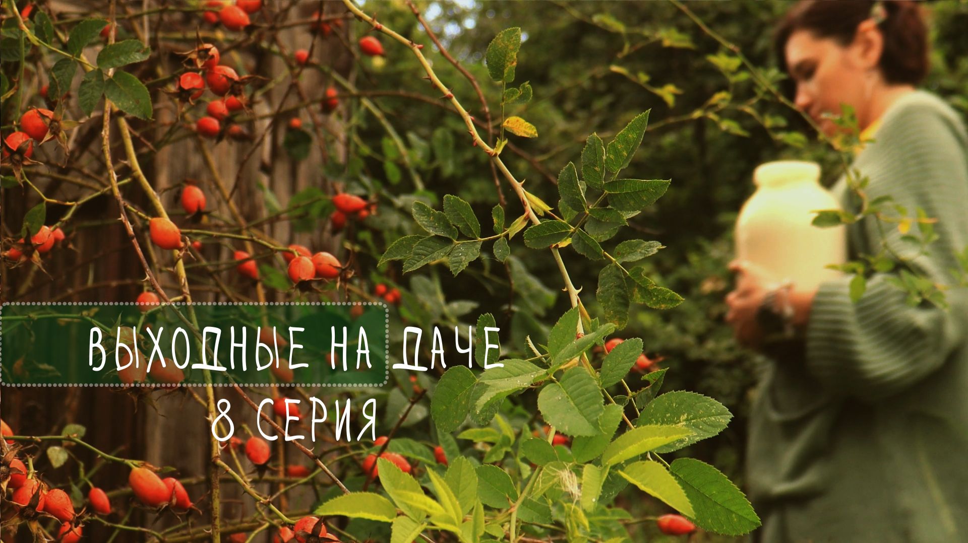выходные на ДАЧЕ 8 серия АРХИВ 2025Г