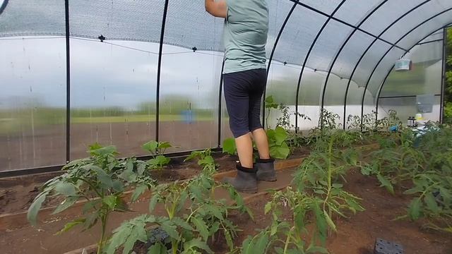 Вот так жили и живём. смотреть онлайн
