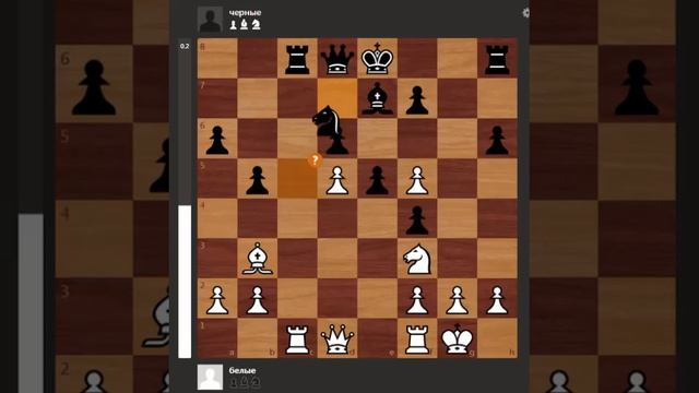 Александр Алехин гениально жертвует ладью на _с5_ Керес _хватается за голову_ смотреть онлайн