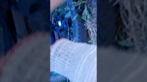 1000011065.mp4