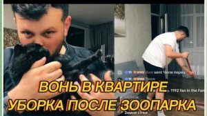 САМВЕЛ АДАМЯН, ВОНЬ В КВАРТИРЕ, НЕЧЕМ ДЫШАТЬ, УБОРКА ПОСЛЕ ЗООПАРКА..