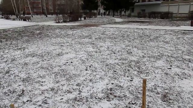 Злой Лекарь - 18.12.2021_ Очень странные дела на улице Чапаева в городе Семилуки Воронежской области