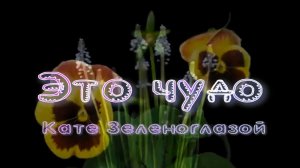 Это Чудо. Стихи, монтаж и генерация звука в ИИ - Евгений Доставалов