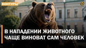 СОЖРАЛИ ВСЮ КАРТОШКУ И КАБАЧКИ. Почему дикие звери больше нас не боятся и все чаще идут в города?