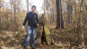 выживание в лесу, построил шалаш часть 11