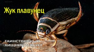 🦟СМЕРТЕЛЬНЫЙ УКУС: ЧТО СКРЫВАЕТСЯ НА ДНЕ ВАШЕГО ПРУДА? 😱