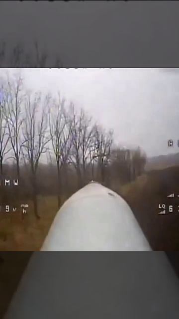 � ����� ������