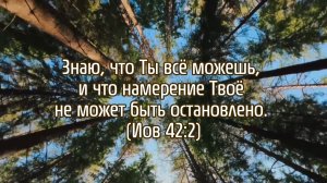 Доверие | стихи христианские