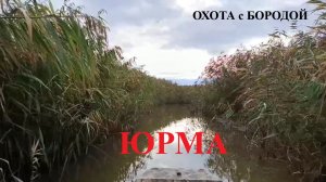 ОХОТА с БОРОДОЙ. Идем с утиной утрянки  по юрме на базу.