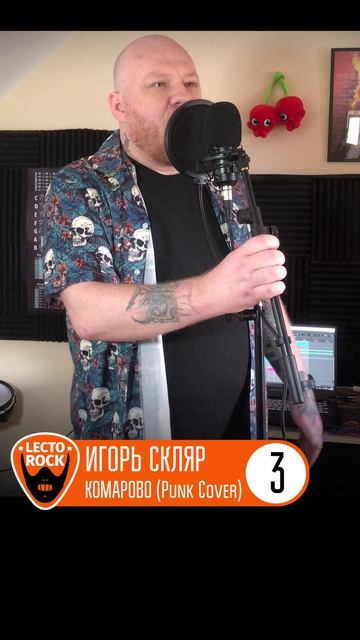 Игорь Скляр - Комарово (Часть 3)