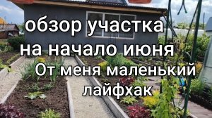 Обзор участка на начало июня/Мои шикарные пионы/Устанавливаем москитные сетки/Вешаем тюли/Уютно
