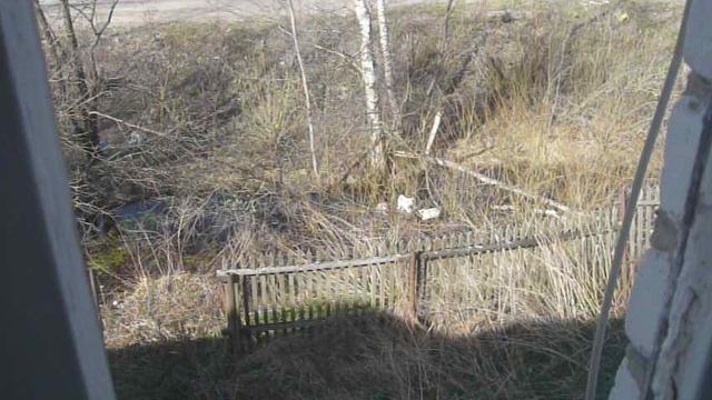 коты май 2013 2 смотреть онлайн