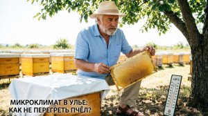 Микроклимат в улье и притенение: как не перегреть пчёл и не потерять мёд | Профессор Кашковский 🐝🌞