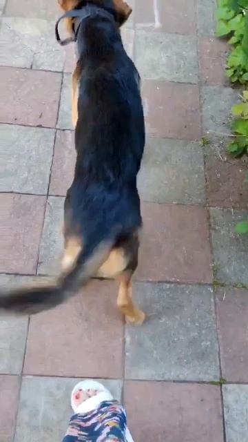 Чолла смотреть онлайн