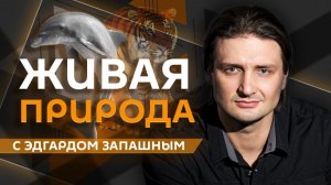 Эдгард Запашный. Зачем кошки «захватывают» ваш ноутбук и как спастись от полчищ комаров