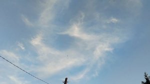 ДВА ДИАГНОЗА  ПОДТВЕРДИЛИСЬ 07-06-2026