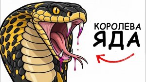 Ты — королевская кобра (и это вся твоя жизнь)