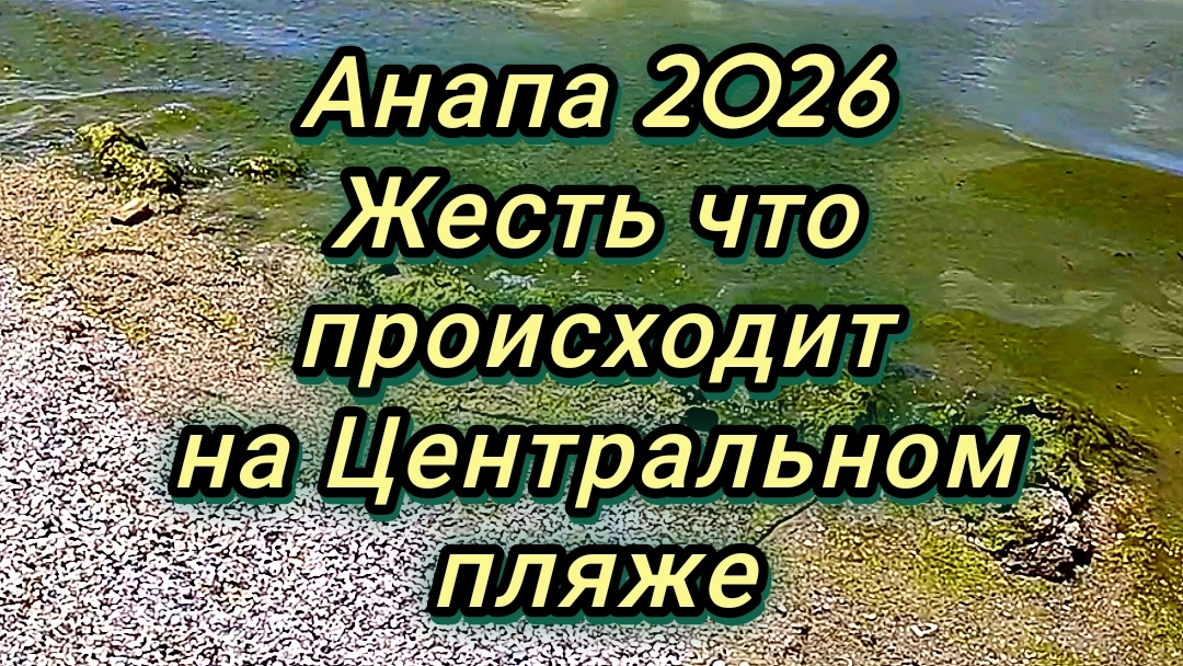 #АНАПА- МАШИНЫ, ТУРИСТЫ, МОРЕ, ЖАРА 07-06-2026 смотреть онлайн