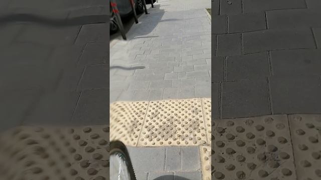 Продолжение прогулки смотреть онлайн