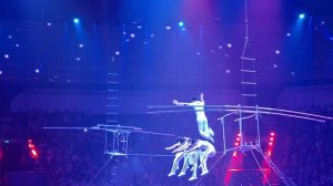 Всемирный фестиваль циркового искусства «ИДОЛ-2026»