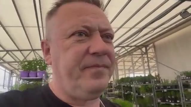 Жизнь вне орхидей. глаза ЗАГЛЯДУЩИЕ а руки ЗАГРЕБУЩИЕ у меня в садовых центрах ： обзор ЧОКУПИЛЛ смотреть онлайн