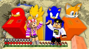 МОЙ ДРОН снял СОНИК в МАЙНКРАФТ НУБ И ПРО ЭВОЛЮЦИЯ ВИДЕО MINECRAFT Евгенбро
