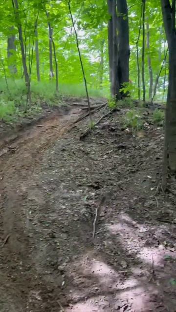 В 9.00 уже треним): сенсей показывает, я повторяю)))