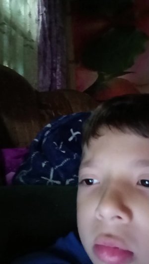 ш