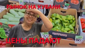 1280 Конечно мы были в шоке. Так делать нельзя. Рынок на Кубани. Цены падают.
