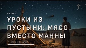 Числа 11 | Уроки из пустыни: Мясо вместо манны | Игорь Гердов