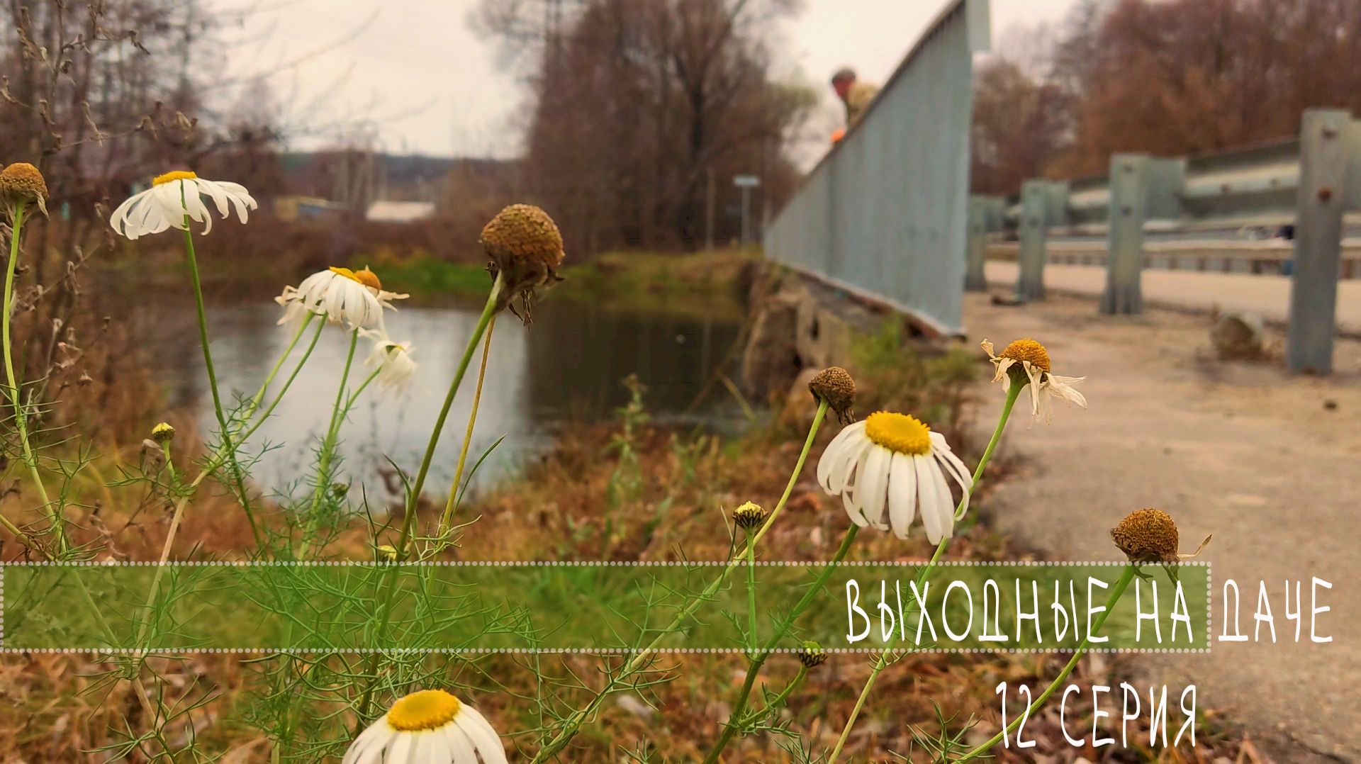 выходные на ДАЧЕ 12 серия