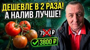 Зачем платить 7000₽ за мешок Секрет мощного налива томатов в 2 раза дешевле!
