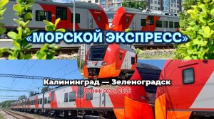 За 30 минут до побережья! «Морской экспресс» в Зеленоградск. Сдвоенные «Ласточки». Обзор и поездка