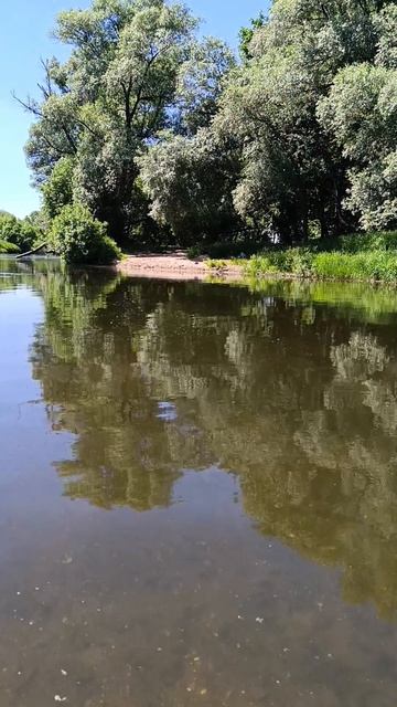 Купаюсь в речке.🏊В Сатино