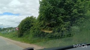Проедем по деревне под хорошую песню,6 июня