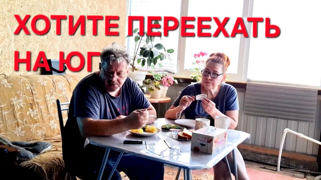 1281 Вы ещё хотите переехать на юг? Делаем как наши мамы и бабушки.