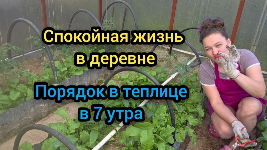 Влог Июнь 2026 Спокойная жизнь в деревне Порядок в теплице в 7 утра