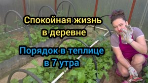 Влог Июнь 2026 Спокойная жизнь в деревне Порядок в теплице в 7 утра