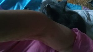 Чистюлька 😅