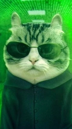 Фиг вам а не банда