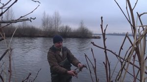 Охота на селезня с подсадной.Чирок трескунок