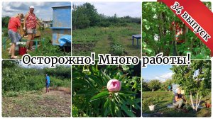 УБИРАЕМ ЗАРОСЛИ 🔥 ПЛОДОТВОРНАЯ РАБОТА на даче / Уборка в зоне отдыха / Пересадила капусту