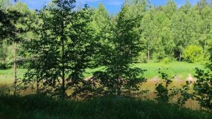 Нива Тревел 1.8 выезд в лес , как она на плохой дороге.