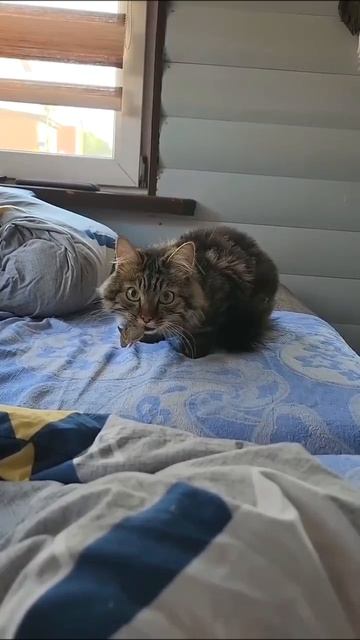Завтрак в постель смотреть онлайн