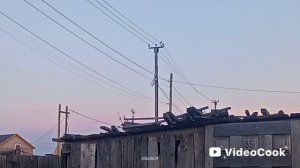 Якутск, Покровский тракт. Поздний вечер. Наша кукушка прилетела и кукует.