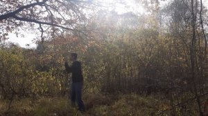 выживание в лесу, построил шалаш часть 1