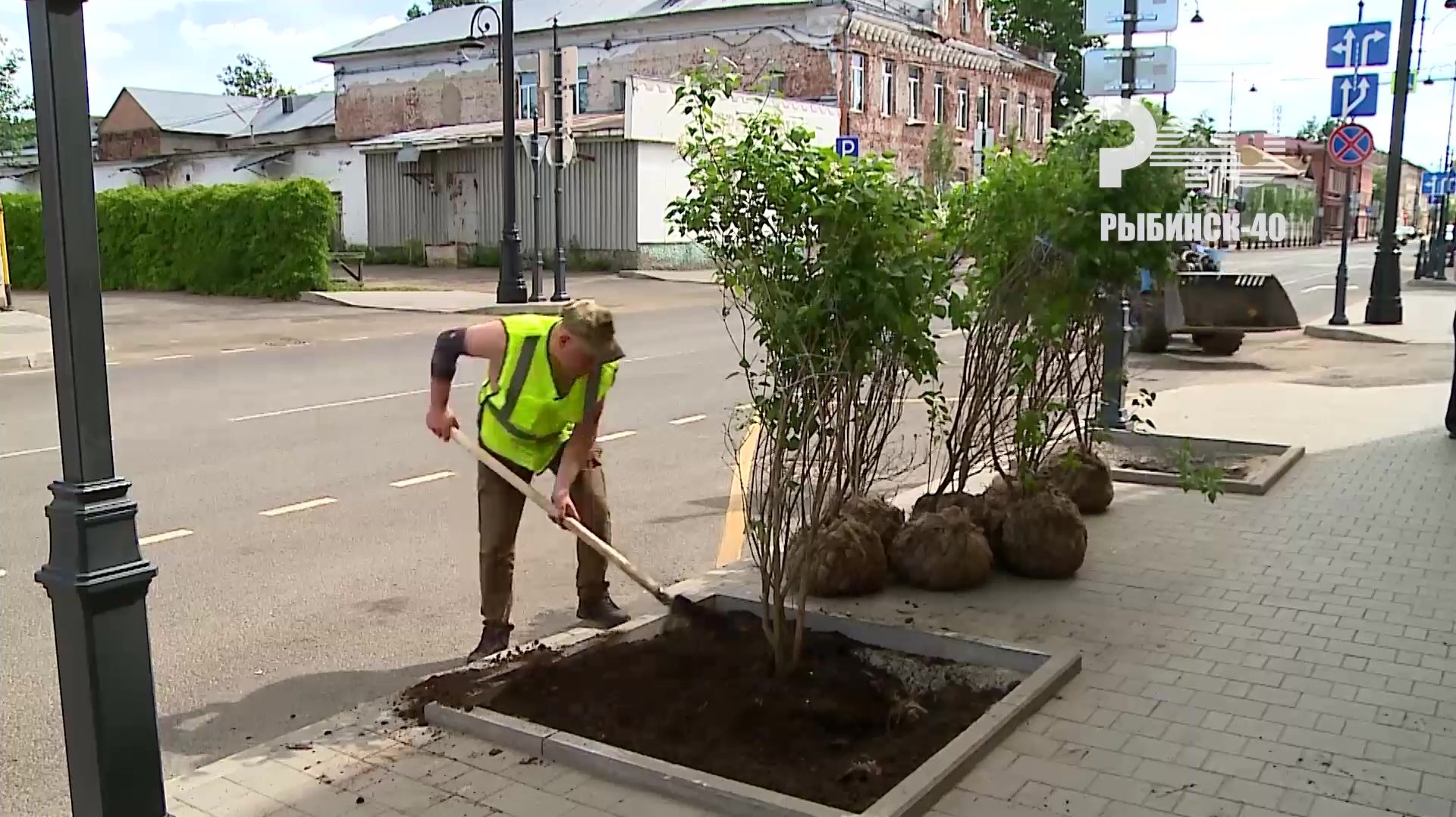 (Рыбинск-40) "КРАСАВИЦА МОСКВЫ" ДЛЯ УЛИЦЫ ЧКАЛОВА смотреть онлайн