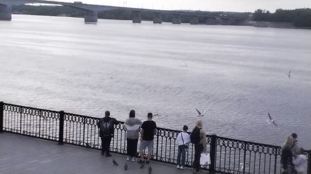 Узнали песню?🎶😄 смотреть онлайн