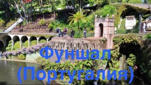 Остров Фуншал ( Португалия) - райское место!!!