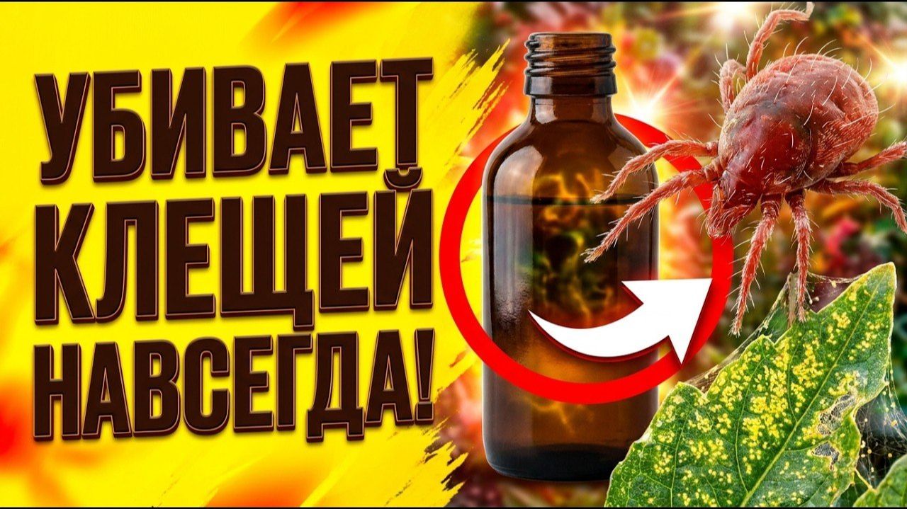 ПАУТИННЫЙ КЛЕЩ БОЛЬШЕ НЕ ВЕРНЁТСЯ! Самые мощные средства сезона